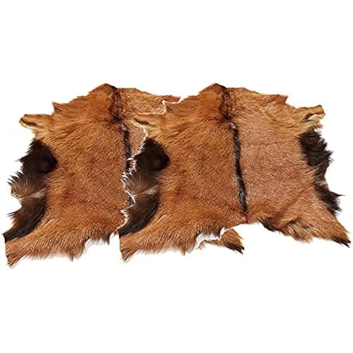 2 Stück echtes Ziegenleder verstecken Pelzpelte Ziegenhaut Leder Ziegenleder Heimdekoration Design Jagd Ornament Boden Wand Ausstellungsdisplay für DIY Kleidung Schaffell Pelz Teppich Exotic (ca. 2 Stück echtes Ziegenleder verstecken Pelzpelte Ziegenhaut Leder Ziegenleder Heimdekoration Design Jagd Ornament Boden Wand Ausstellungsdisplay für DIY Kleidung Schaffell Pelz Teppich Exotic (ca. von Huichenxing2021FURSTORE