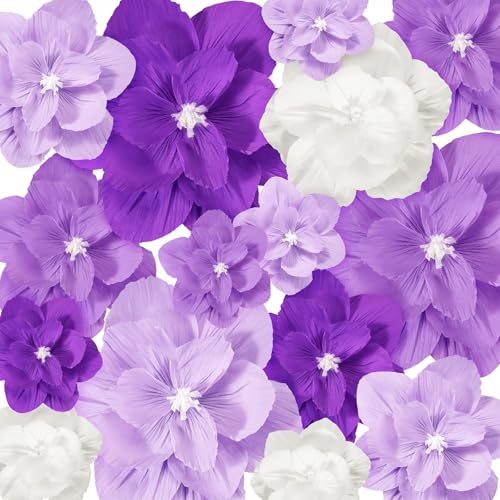 Humyoun Riesige Papierblumen, künstliche Papierblumen, Dekorationen für Hochzeit, Abschlussfeier, Brautparty, Geburtstag, handgefertigt, Wandhintergrund, Tischdekoration, Partyzubehör (violetter Humyoun Riesige Papierblumen, künstliche Papierblumen, Dekorationen für Hochzeit, Abschlussfeier, Brautparty, Geburtstag, handgefertigt, Wandhintergrund, Tischdekoration, Partyzubehör (violetter von Humyoun