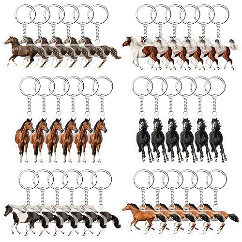 Huquary 60 Stück Pferde Schlüsselanhänger Dekoration Bulk Pferd Party Gefälligkeiten Tier Thema Pferd Geburtstag Party Supplies für Mädchen Jungen Gastrückgabe Geschenk Vintage Schlüsselanhänger von Huquary