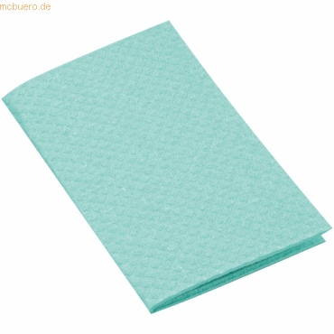 20 x HygoClean Schwammtuch 24,5x31cm VE=10 Stück grün 20 x HygoClean Schwammtuch 24,5x31cm VE=10 Stück grün von HygoClean