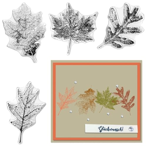 Hying 4 Stück Ahornblätter, transparente Stempel für Kartenherstellung, Herbstblätter, Herbstblätter, transparente Stempel, Siegel für Bastelarbeiten, Scrapbooking, Fotoalbum, Dekorationen Hying 4 Stück Ahornblätter, transparente Stempel für Kartenherstellung, Herbstblätter, Herbstblätter, transparente Stempel, Siegel für Bastelarbeiten, Scrapbooking, Fotoalbum, Dekorationen von Hying
