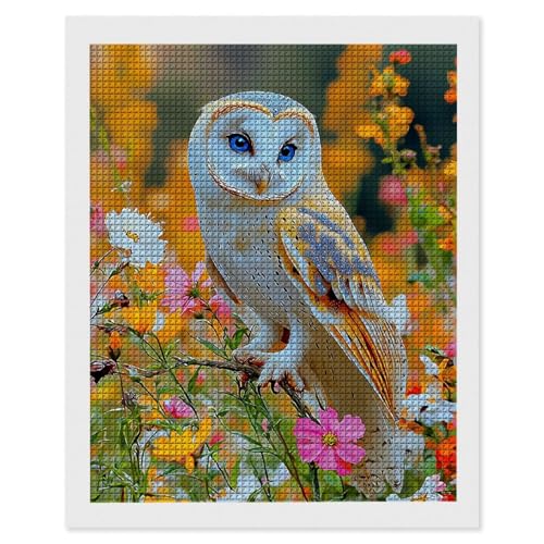 Diamond Painting Erwachsene Eule, 5D Diamant Painting Bilder, DIY Diamanten Stickerei Mosaikherstellung Bastelset Geeignet Als Geschenk, Zur Entspannung und Als Home Wanddekorationen 35x50cm r-494 Diamond Painting Erwachsene Eule, 5D Diamant Painting Bilder, DIY Diamanten Stickerei Mosaikherstellung Bastelset Geeignet Als Geschenk, Zur Entspannung und Als Home Wanddekorationen 35x50cm r-494 von Hyupuanj