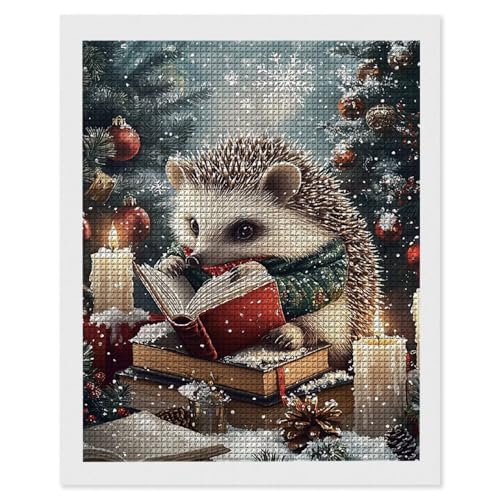 Hyupuanj Diamond Painting Erwachsene Weihnachten Eigel, 5D Diamant Painting Bilder, DIY Diamanten Stickerei Mosaikherstellung Bastelset Geeignet Als Geschenk, Als Home Wanddekorationen 35x50cm r-667 von Hyupuanj