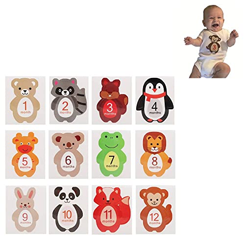 12Pcs Baby Meilenstein Karten, 12 Stück, Fotokarten für 1-12 Monate, Foto Requisiten von Hztyyier
