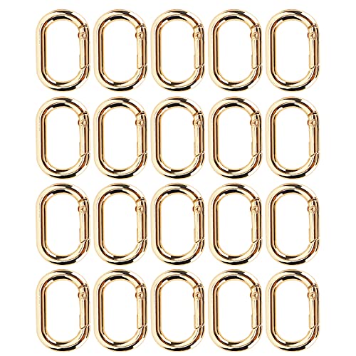 Hztyyier 20Pcs Oval Spring Buckle Clip Karabiner Schlüsselanhänger 23mm Legierung Karabinerhaken Clip Verschlüsse für Taschen Geldbörsen Schlüsselanhänger Strap(Golden) von Hztyyier