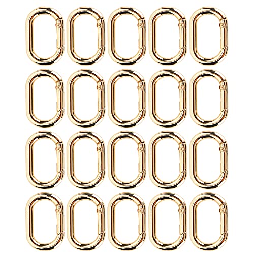 20Pcs Oval Spring Buckle Clip Karabiner Schlüsselanhänger 23mm Legierung Karabinerhaken Clip Verschlüsse für Taschen Geldbörsen Schlüsselanhänger Strap(Golden) von Hztyyier