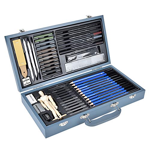 Hztyyier Professionelle Holzkohle -Bleistiftschlosset, Glatte Gemälde für Künstler, 60pcs Skizzieren Stifte für Kunstzubehör (Graues 60-teiliges Set) von Hztyyier