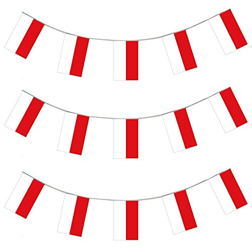 POLEN LÄNDER FLAGGEN = = VON ILOVEFANCYDRESS®=DIE GIRLANDE IST 10 METER LANG UND JEDE EINZELNE FLAGGE HAT DIE MAßE VON 20X30cm =SUPER FLAGGEN FÜR JEDE ART DER DEKORATION ODER SPORT +FAN/PARTY DEKORATION = ALLE FLAGGENKETTEN SIND AUS PLASTIK UND ERHALTBAR IN 3 VERSCHIEDENEN MENGEN = SUPER FÜR AUSSEN DEKORATION UND SIND AUF ANFRAGE AUCH IN GRÖßEREN MENGEN ERHALTBAR==12 X POLEN von I LOVE FANCY DRESS