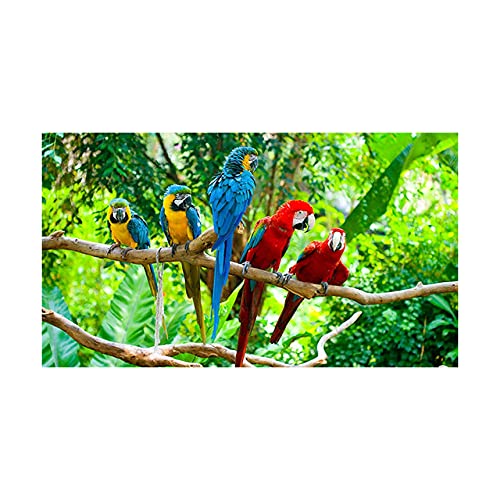 IBUKHSDGYIFH Bunte Papageien Vogel auf Zweigen Leinwand Malerei Poster und Drucke Wandkunst Tierbilder für Wohnkultur Ungerahmt-50x100cm IBUKHSDGYIFH Bunte Papageien Vogel auf Zweigen Leinwand Malerei Poster und Drucke Wandkunst Tierbilder für Wohnkultur Ungerahmt-50x100cm von IBUKHSDGYIFH