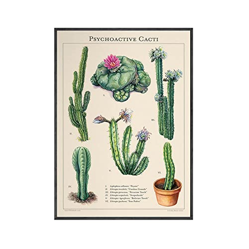 IBUKHSDGYIFH Leinwand Wandkunst Psychoaktive Kakteen Diagramm Wohnkultur Botanischer Druck Poster Nordische Malerei Modern Modular Für Wohnzimmer Ungerahmt-40x60cm IBUKHSDGYIFH Leinwand Wandkunst Psychoaktive Kakteen Diagramm Wohnkultur Botanischer Druck Poster Nordische Malerei Modern Modular Für Wohnzimmer Ungerahmt-40x60cm von IBUKHSDGYIFH