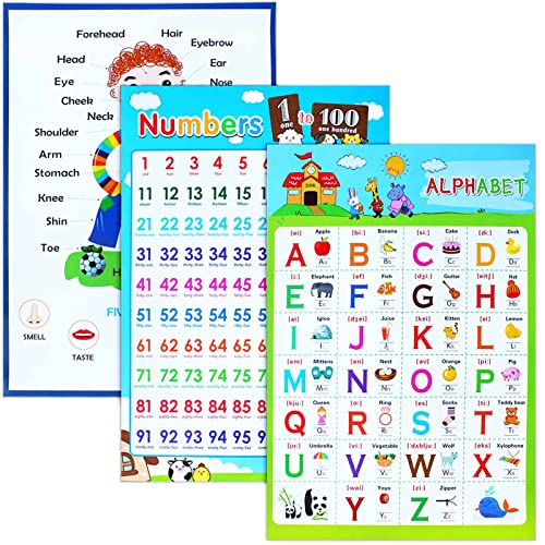 3 Stück Pädagogische Poster, ICEBLUEOR laminierte Wandtabelle, Zahlensinne und Alphabet-Poster, Kinderzimmer, Klassenzimmer-Dekoration 3 Stück Pädagogische Poster, ICEBLUEOR laminierte Wandtabelle, Zahlensinne und Alphabet-Poster, Kinderzimmer, Klassenzimmer-Dekoration von ICEBLUEOR
