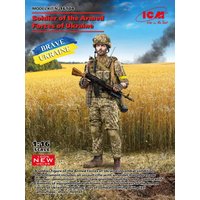 Soldier of the Armed Forces of Ukraine von ICM