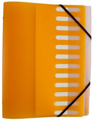 Ordnungsmappe / Dokumentenmappe / für DIN A4 / mit 12 Taben / Farbe: orange von IDENA