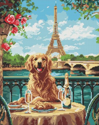 IDEYKA Diamond Painting - Ein Retriever in Paris ©art_selena_ua, 40х50cm, Diamant-Kunst-Malsets für Erwachsene, DIY-Bastelsets von IDEYKA