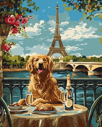IDEYKA Ein Retriever in Paris - Malen nach Zahlen für Erwachsene, 40x50 cm, Realistisch, Acryl auf Leinwand, Mit Rahmen, Geschenkidee IDEYKA Ein Retriever in Paris - Malen nach Zahlen für Erwachsene, 40x50 cm, Realistisch, Acryl auf Leinwand, Mit Rahmen, Geschenkidee von IDEYKA