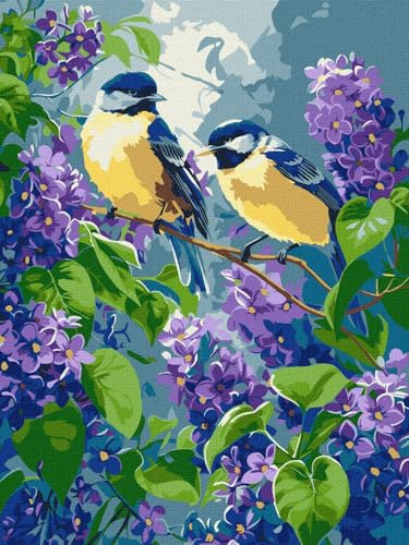 IDEYKA Malen nach Zahlen - Frühlingsduett ©art_selena_ua Malen nach Zahlen für Erwachsene, einfaches Acryl-Malen nach Zahlen für Erwachsene, mit rahmen, DIY als Geschenk, 30x40 cm von IDEYKA