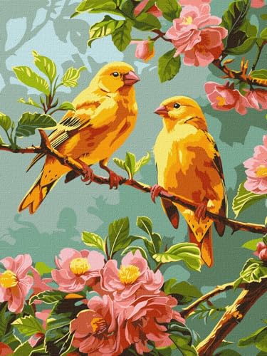 IDEYKA Malen nach Zahlen - Frühlingskanarienvögel ©art_selena_ua Malen nach Zahlen für Erwachsene, einfaches Acryl-Malen nach Zahlen für Erwachsene, mit rahmen, DIY als Geschenk, 30x40 cm von IDEYKA