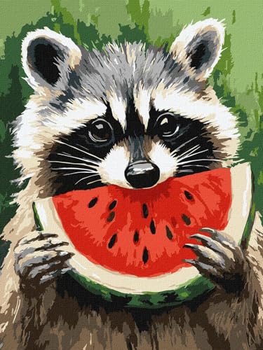 IDEYKA Malen nach Zahlen - Saftige Wassermelone ©art_selena_ua Malen nach Zahlen für Erwachsene, einfaches Acryl-Malen nach Zahlen für Erwachsene, mit rahmen, DIY als Geschenk, 30x40 cm von IDEYKA