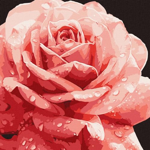 IDEYKA Malen nach Zahlen Perfekte Rose art selena ua 40x40 mit Holzrahmen IDEYKA Malen nach Zahlen Perfekte Rose art selena ua 40x40 mit Holzrahmen von IDEYKA