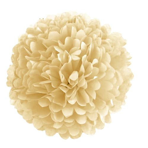 IEEDFJKK Pom Pom Papierkugeln zum Aufhängen, Seidenblumen, 0 Stück, Papierblumen, Dekorationen, Papier für Geburtstagsfeier, Party, Seidenpapier Pom Poms, Weiß, 10 Zoll IEEDFJKK Pom Pom Papierkugeln zum Aufhängen, Seidenblumen, 0 Stück, Papierblumen, Dekorationen, Papier für Geburtstagsfeier, Party, Seidenpapier Pom Poms, Weiß, 10 Zoll von IEEDFJKK