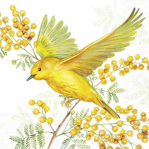 IHR - C 1065829 - Cocktail Papierservietten, Joy of Spring, Vogel, grün, 20 Stück, 12,5cm x 12,5cm, 3 lagig IHR - C 1065829 - Cocktail Papierservietten, Joy of Spring, Vogel, grün, 20 Stück, 12,5cm x 12,5cm, 3 lagig von IHR Ideal Home Range