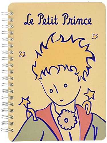 Der Picco Principe Notizblock, Papier, Mehrfarbig, Einheitsgröße von Le Petit Prince