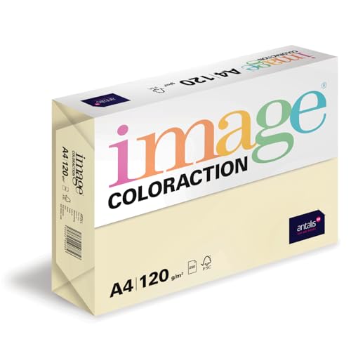 Image Coloraction Atoll - farbiges Kopierpapier - DIN A4, 210 x 297 mm, 120 g/m² - buntes, holzfreies Druckerpapier für Kopierer - 250 Blatt - Elfenbeinfarben Image Coloraction Atoll - farbiges Kopierpapier - DIN A4, 210 x 297 mm, 120 g/m² - buntes, holzfreies Druckerpapier für Kopierer - 250 Blatt - Elfenbeinfarben von IMAGE