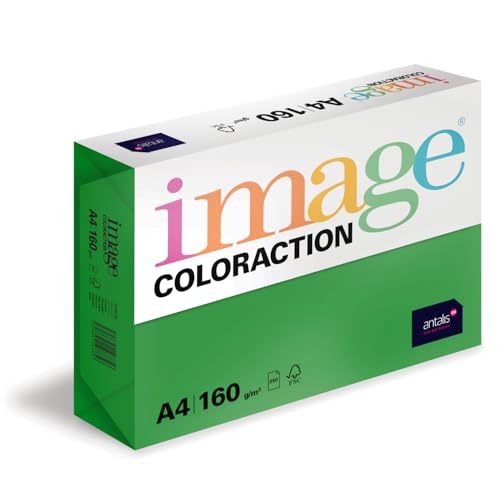 Image Coloraction Dublin - farbiges Kopierpapier - DIN A4, 210 x 297 mm, 160 g/m² - buntes, holzfreies Druckerpapier für Kopierer - 250 Blatt - Dunkelgrün Image Coloraction Dublin - farbiges Kopierpapier - DIN A4, 210 x 297 mm, 160 g/m² - buntes, holzfreies Druckerpapier für Kopierer - 250 Blatt - Dunkelgrün von IMAGE