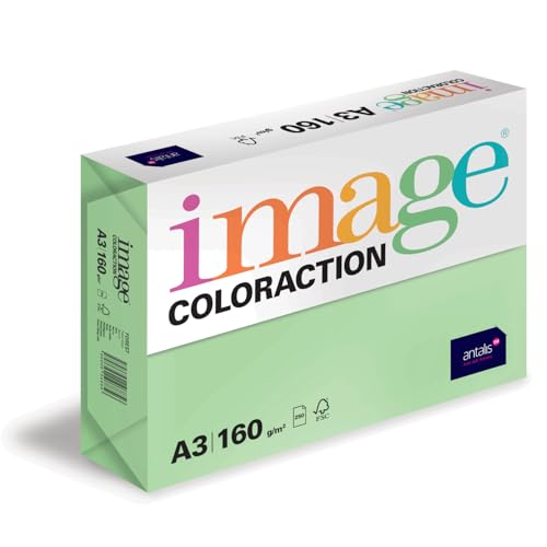 Image Coloraction Forest - farbiges Kopierpapier - DIN A3, 297 x 420 mm, 160 g/m² - buntes, holzfreies Druckerpapier für Kopierer - 250 Blatt - Grün Image Coloraction Forest - farbiges Kopierpapier - DIN A3, 297 x 420 mm, 160 g/m² - buntes, holzfreies Druckerpapier für Kopierer - 250 Blatt - Grün von IMAGE