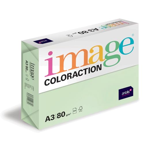 Image Coloraction Jungle - farbiges Kopierpapier - DIN A3, 297 x 420 mm, 80 g/m² - buntes, holzfreies Druckerpapier für Kopierer - 500 Blatt - Hellgrün von Image Coloraction