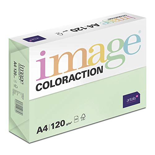 Image Coloraction Forest - farbiges Kopierpapier - DIN A4, 210 x 297 mm, 120 g/m² - buntes, holzfreies Druckerpapier für Kopierer - 250 Blatt - Grün von IMAGE