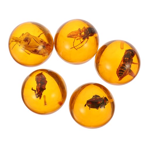 IMIKEYA 5 Stück Resin Anhänger Vorgebohrt Stilvolles Design Einzigartiges Insekten Spezimen Handgefertigte Kunstwerke Vielseitig Einsetzbar für Kreatives Basteln IMIKEYA 5 Stück Resin Anhänger Vorgebohrt Stilvolles Design Einzigartiges Insekten Spezimen Handgefertigte Kunstwerke Vielseitig Einsetzbar für Kreatives Basteln von IMIKEYA