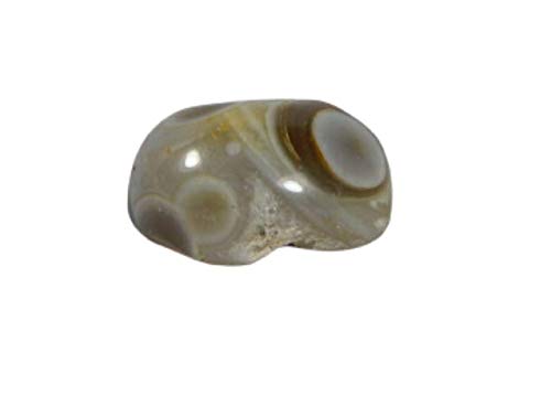 Natürliche Nazar Tibetisches Auge 4 Auge Dzi Bead Lumik Samen Edelstein 20.2Ct-B08SJXJKYZ, Silber, Synthetischer Saphir Natürliche Nazar Tibetisches Auge 4 Auge Dzi Bead Lumik Samen Edelstein 20.2Ct-B08SJXJKYZ, Silber, Synthetischer Saphir von INDIA MADE