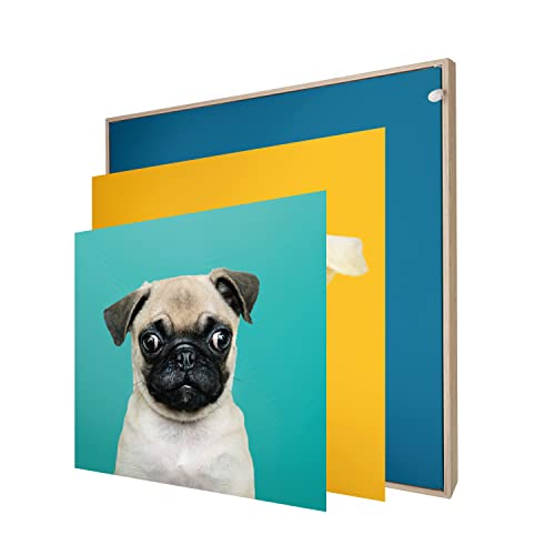 INFORMA LED Bilderrahmen in Holz Optik, 3 Wechsel Bilderrahmenbezüge Thema Hunde, Rahmenlos, 50 x 50 cm, 27 LEDs, austauschbare Motive mit UV Direktdruck INFORMA LED Bilderrahmen in Holz Optik, 3 Wechsel Bilderrahmenbezüge Thema Hunde, Rahmenlos, 50 x 50 cm, 27 LEDs, austauschbare Motive mit UV Direktdruck von INFORMA