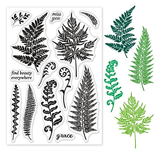 INFUNLY Farnblatt Klare Stempel Gras Pflanzen Muster Stempel für Kartenherstellung DIY Kunstwerk Karte Dekorieren Papier Schablone von INFUNLY