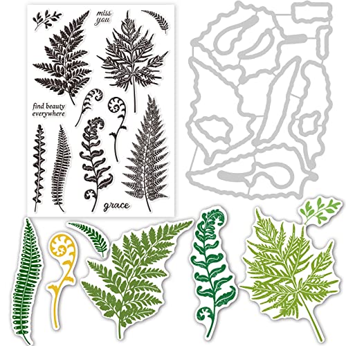 INFUNLY Pflanzenstanzen Blatt Metall Stanzformen Farnblatt Klare Stempel Set Prägeschablone Vorlage für DIY Papier Kunsthandwerk Scrapbooking Fotoalbum Dekor INFUNLY Pflanzenstanzen Blatt Metall Stanzformen Farnblatt Klare Stempel Set Prägeschablone Vorlage für DIY Papier Kunsthandwerk Scrapbooking Fotoalbum Dekor von INFUNLY