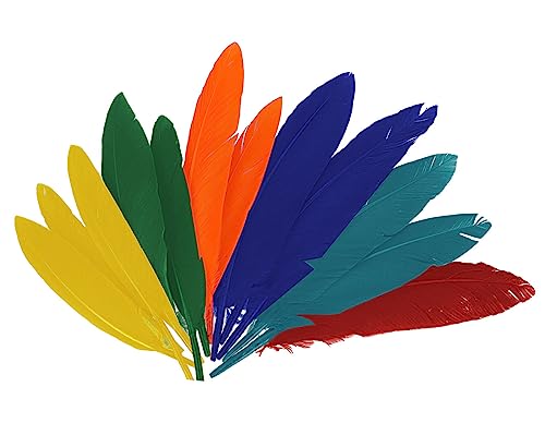 INNSPIRO Indische Federn, gemischte Farben, ca. 30 mm x 200 mm. 36 Stück. von INNSPIRO