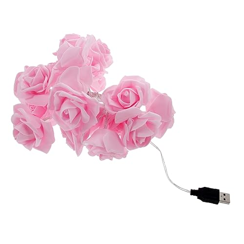 INOOMP LED Lichterkette mit Rosa Blütenlichtern für Hochzeit Party und Festliche Dekoration USB Betrieben Vielseitig Einsetzbar für Wohnzimmer und Schlafzimmer INOOMP LED Lichterkette mit Rosa Blütenlichtern für Hochzeit Party und Festliche Dekoration USB Betrieben Vielseitig Einsetzbar für Wohnzimmer und Schlafzimmer von INOOMP