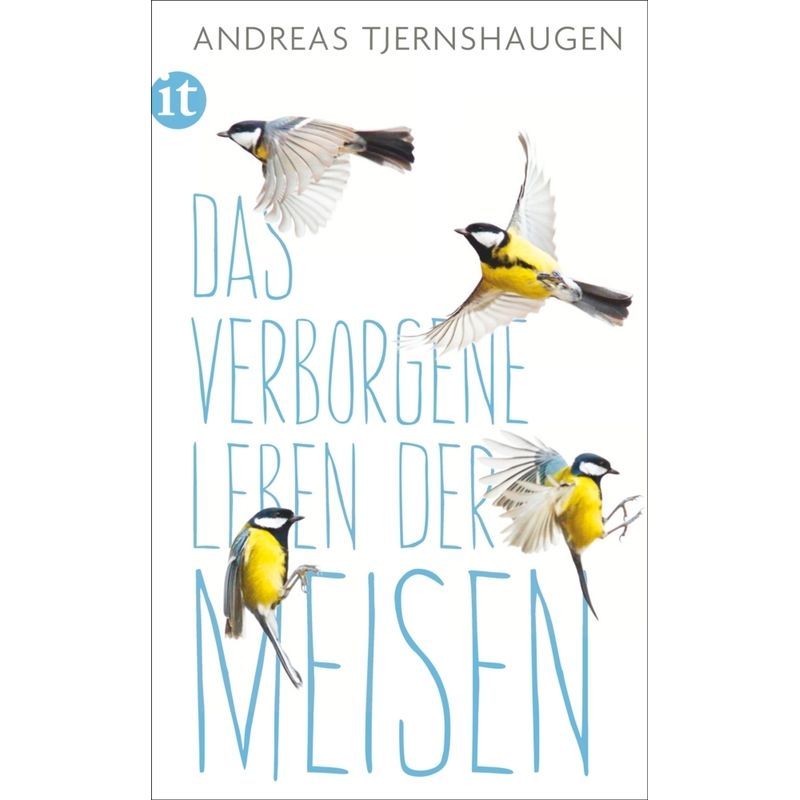 Das Verborgene Leben Der Meisen - Andreas Tjernshaugen, Taschenbuch von INSEL VERLAG