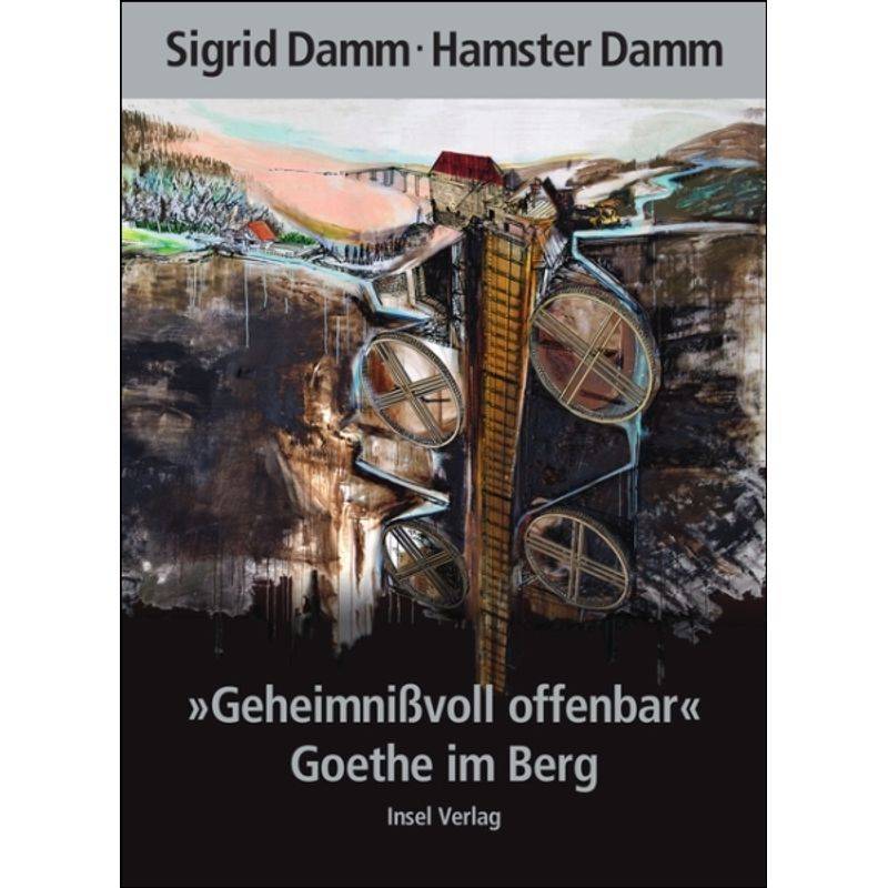 »Geheimnißvoll Offenbar«. Goethe Im Berg - Sigrid Damm, Hamster Damm, Gebunden von INSEL VERLAG