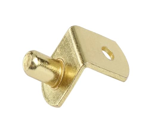 IOFIT 10 Stück bewegliche Halterung, Möbelbeschläge, Mittelachse, Glasplattenhalterung, Befestigungshalterung, Trennstift (Color : Gold, Size : 10pcs 50mm) von IOFIT