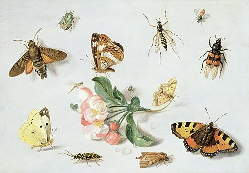 IPLUPJDY Kunstdruck Leinwand Bilder Moderne Druck Leinwand Malerei Schmetterlinge Motten und andere Insekten mit einem Blütenzweig von Jan Van Kessel dem Älteren für Wanddekoration 60x90cm IPLUPJDY Kunstdruck Leinwand Bilder Moderne Druck Leinwand Malerei Schmetterlinge Motten und andere Insekten mit einem Blütenzweig von Jan Van Kessel dem Älteren für Wanddekoration 60x90cm von IPLUPJDY