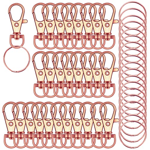 120 x hochwertige Karabinerhaken mit Drehgelenk, Schlüsselringen, Metall-Schlüsselanhänger-Haken für Schmuckherstellung, Handwerk (Roségold) von IPXEAD