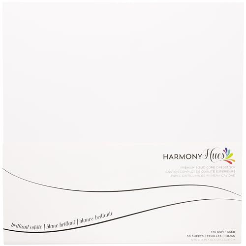 Cardstock 30,5 x 30,5 cm Papierpackung – 29,5 kg glatter Karton für Bastelarbeiten, Kartenherstellung, Kunstprojekte – 50 quadratische Scrapbook-Bögen – doppelseitig mit festem Kern, brillantes Weiß Cardstock 30,5 x 30,5 cm Papierpackung – 29,5 kg glatter Karton für Bastelarbeiten, Kartenherstellung, Kunstprojekte – 50 quadratische Scrapbook-Bögen – doppelseitig mit festem Kern, brillantes Weiß von IRIDESCENT