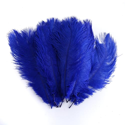 ISAKEN Natürliche Truthahnfedern, 10 Stück Natur Federn zum basteln 25-30cm Truthahn Federn für DIY Traumfänger Halloween Kostüm Karneval Masken Weihnacten Kranz Ostern Zubehör Hochzeit Party ISAKEN Natürliche Truthahnfedern, 10 Stück Natur Federn zum basteln 25-30cm Truthahn Federn für DIY Traumfänger Halloween Kostüm Karneval Masken Weihnacten Kranz Ostern Zubehör Hochzeit Party von ISAKEN
