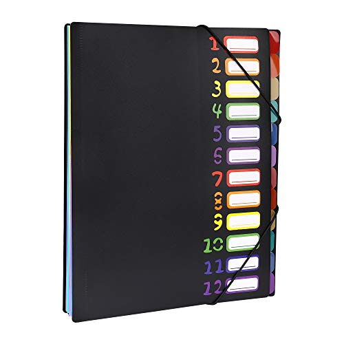 Expanding File Folder 12 Pockets Accordion Document Organizer Rainbow Expanding Project Sorter for Home Office School Use Letter A4 Paper Size von ISIYINER