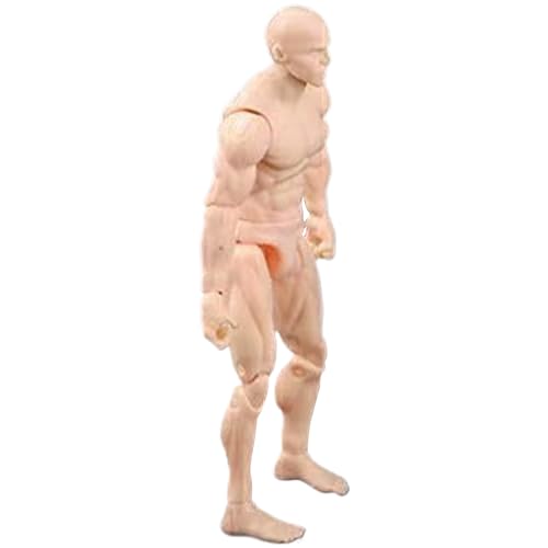 Actionfigur Körper, 4, 1 -Zoll -PVC -Leere Action -Figur, DIY Posenable, Sammlerbetriebsmalerei Zeichnung für Ausstellung, Spiel, Modellierung, Szenenspiel, Hautfarbe/männlich von ISOYTERO