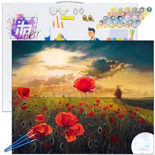 ITA Art Malen nach Zahlen Komplett Set mit Keilrahmen, Acrylfarben, Pinseln, Zubehör, Geschenkbox - DIY Gemälde Bastelset Kit mit Leinwand für Erwachsene, 40x50 cm, Feurige Mohnblumen von ITA