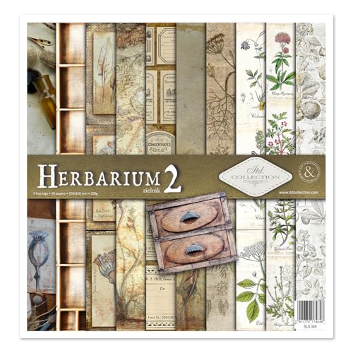 ITD Collection - Scrapbooking-Paket 12x12 inches, Scrapbooking Papier, Dekorpapier, Decoupage, Kartenherstellung, Papiergröße - 310 x 320 mm (Herbarium 2, SLS049) von ITD Collection