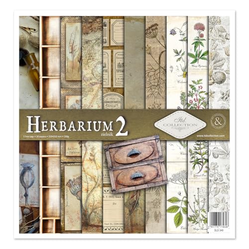 ITD Collection - Scrapbooking-Paket 12x12 inches, Scrapbooking Papier, Dekorpapier, Decoupage, Kartenherstellung, Papiergröße - 310 x 320 mm (Herbarium 2, SLS049) von ITD Collection